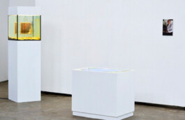 Borderland Residencies