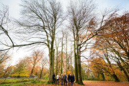 Borderland Residencies