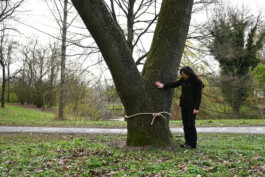 Borderland Residencies