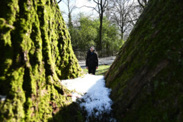 Borderland Residencies