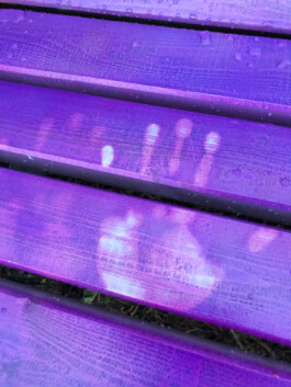 Borderland Residencies