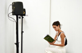 Borderland Residencies