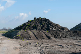 Borderland Residencies