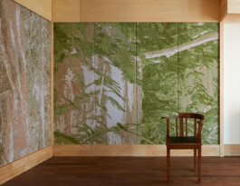 Borderland Residencies