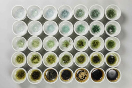 Borderland Residencies