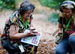 Borderland Residencies