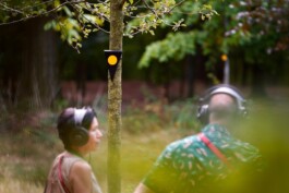 Borderland Residencies