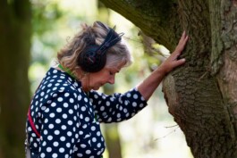 Borderland Residencies