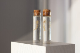 Borderland Residencies