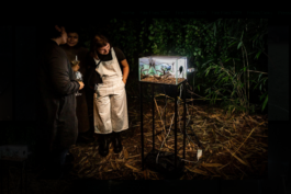 Borderland Residencies