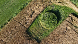 Borderland Residencies