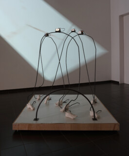 Borderland Residencies