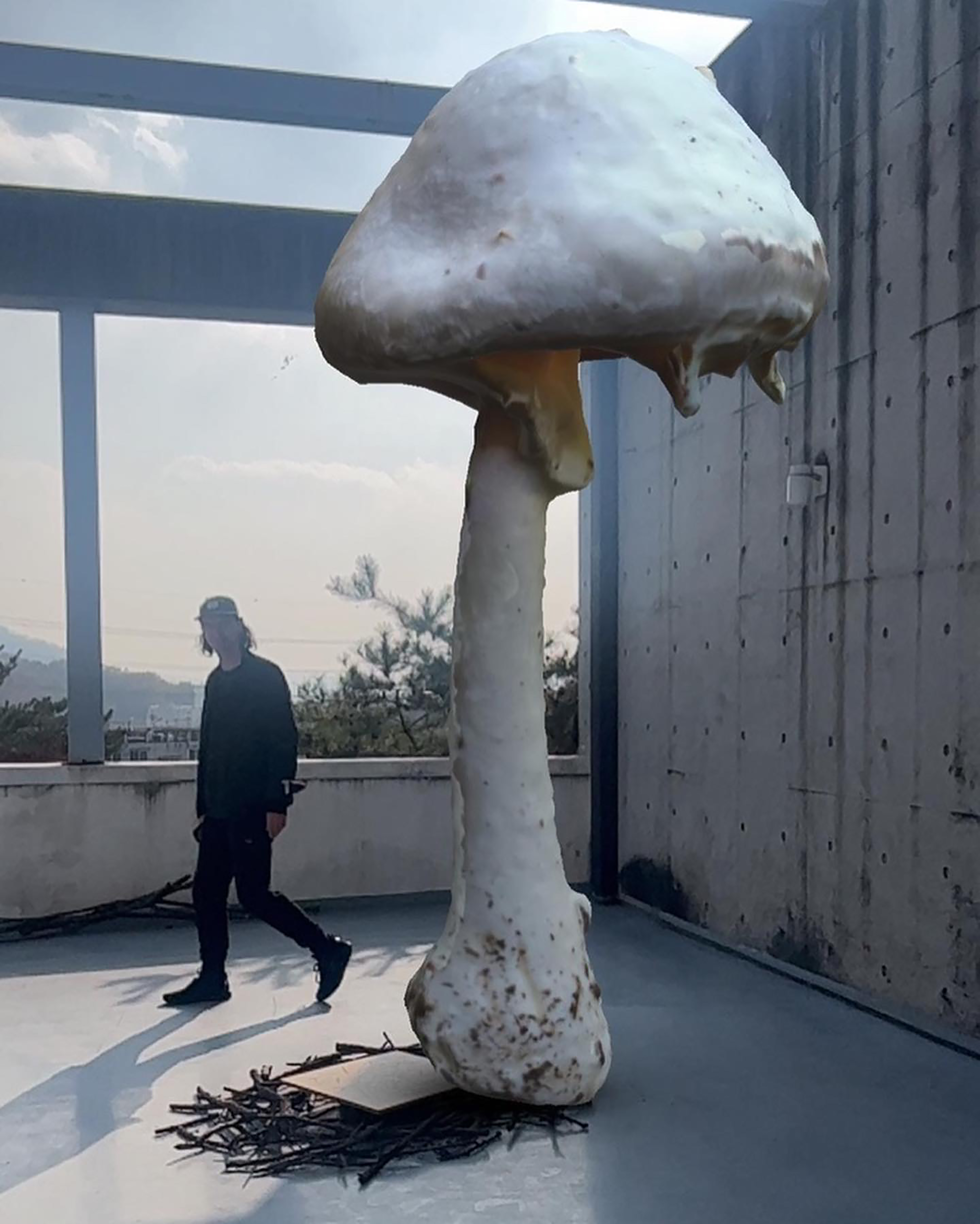 Borderland Residencies