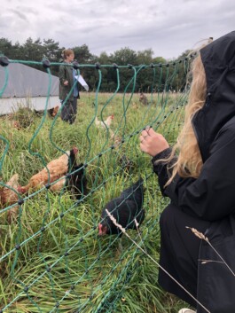 Borderland Residencies