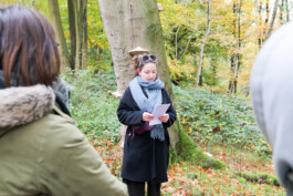 Borderland Residencies