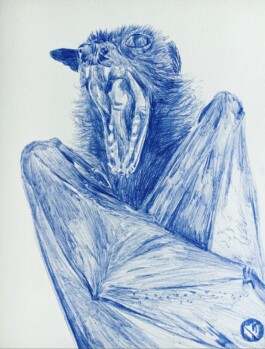 Borderland Residencies