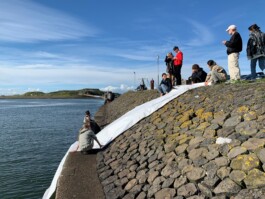 Borderland Residencies