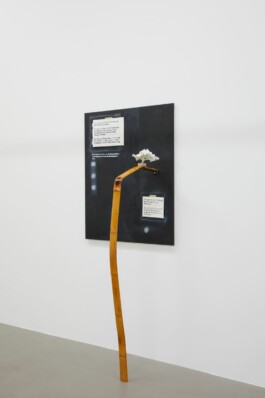 Borderland Residencies