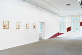 Borderland Residencies