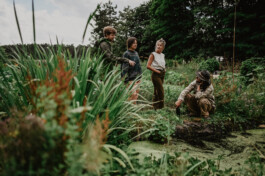 Borderland Residencies