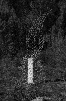 Borderland Residencies