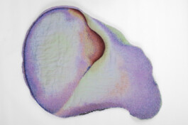 Borderland Residencies