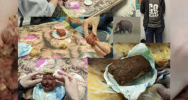 Borderland Residencies