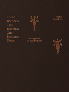 Borderland Residencies