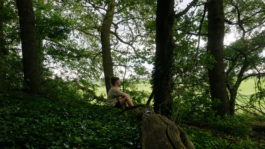 Borderland Residencies