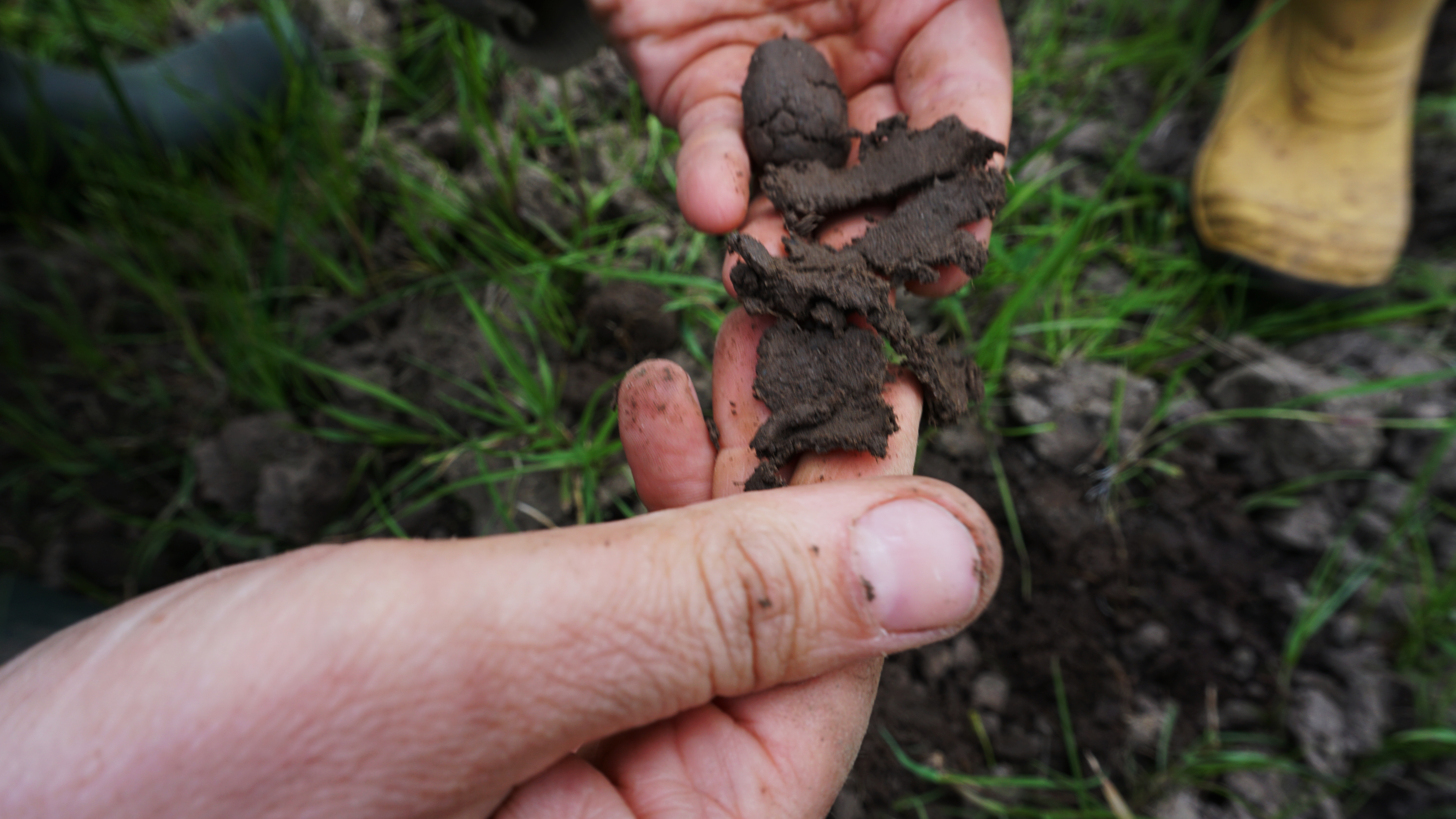 Borderland Residencies