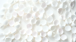 Borderland Residencies