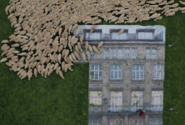 Borderland Residencies