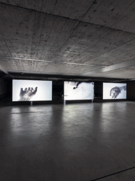 Borderland Residencies