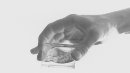 Borderland Residencies