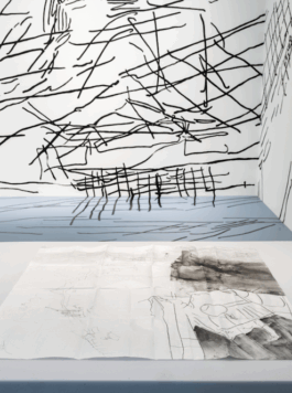 Borderland Residencies