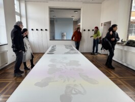 Borderland Residencies