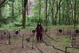 Borderland Residencies