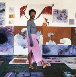 Borderland Residencies