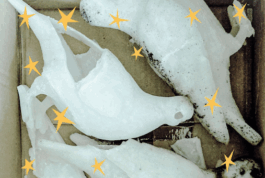 Borderland Residencies