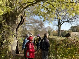 Borderland Residencies