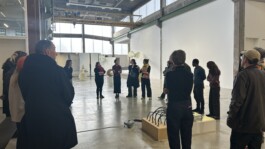 Borderland Residencies