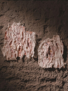 Borderland Residencies