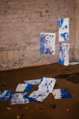 Borderland Residencies